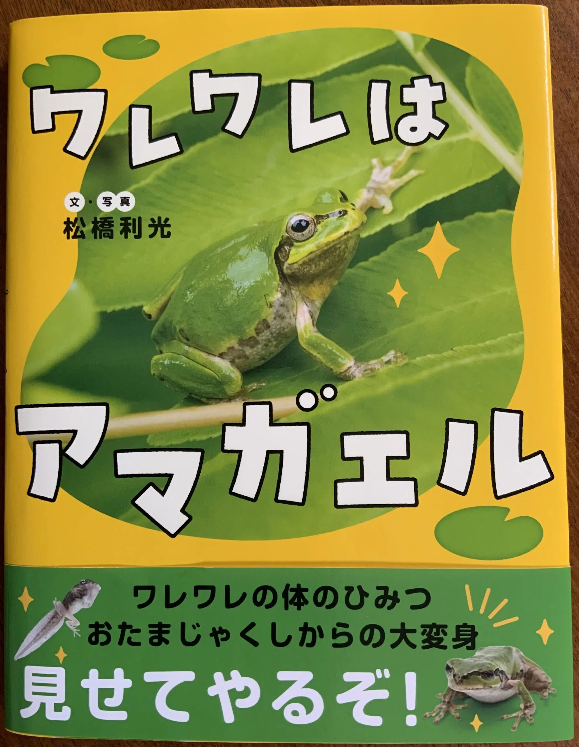 あまがえるが好き！】おたまじゃくしがかえるになるまでの絵本 | 眠り