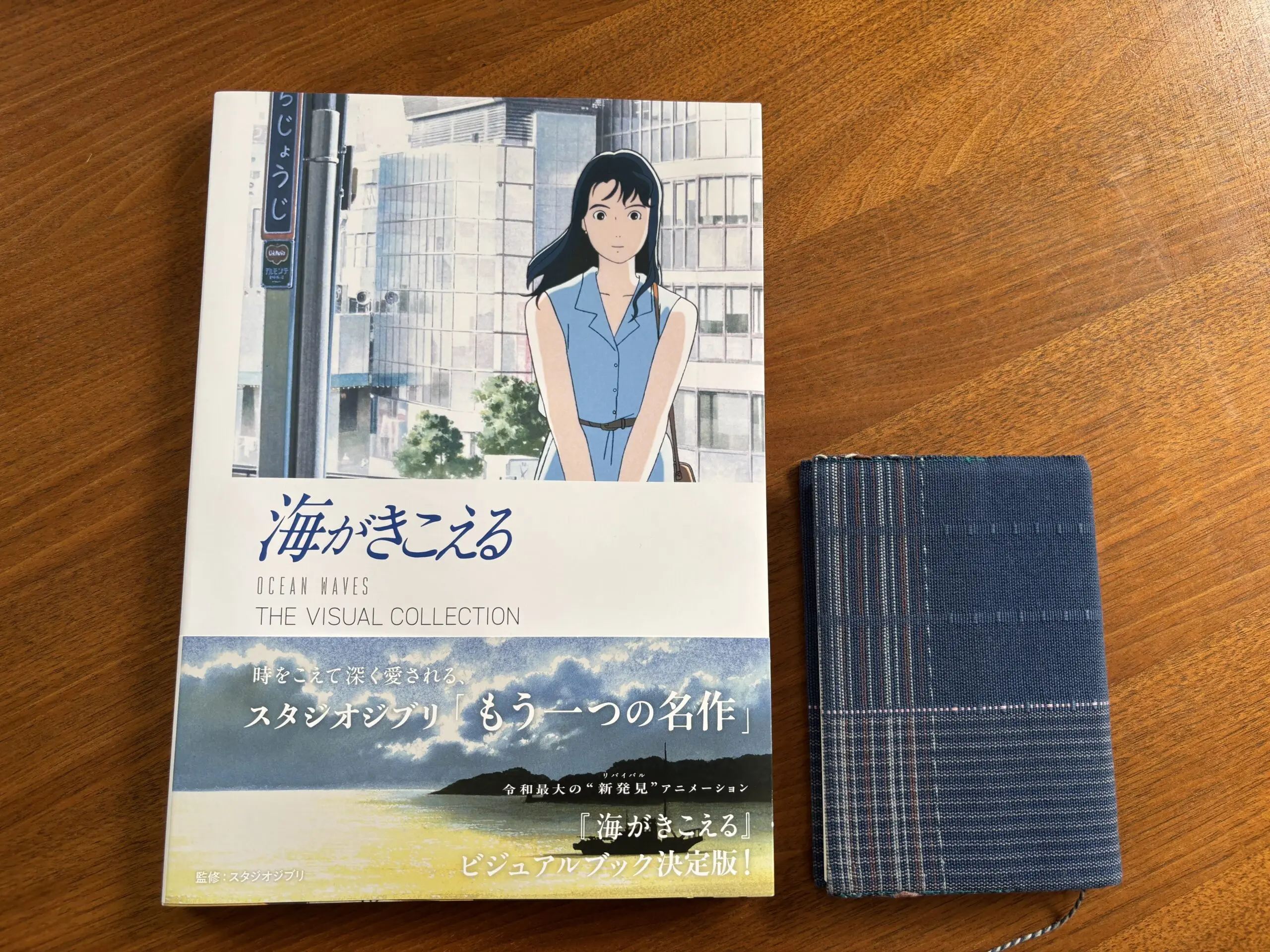 海がきこえる 原作小説とアニメ・ドラマの違いは？3つ見比べた感想